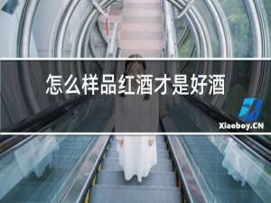 怎么样品红酒才是好酒