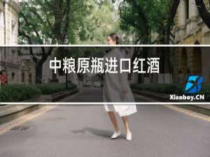 智利原瓶进口红酒