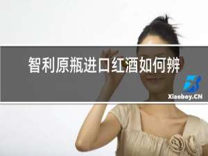 智利原瓶进口红酒如何辨认