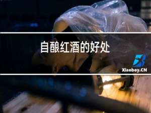 自酿红酒的好处