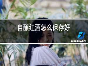 自酿红酒怎么保存好