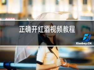 正确开红酒视频教程