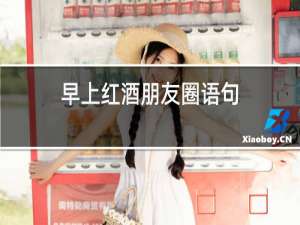 早上红酒朋友圈语句
