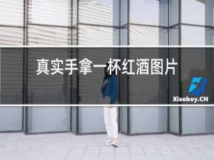 真实手拿一杯红酒图片