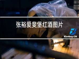 张裕爱斐堡红酒图片