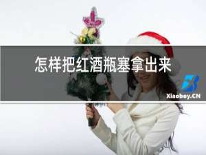 怎样把红酒瓶塞拿出来