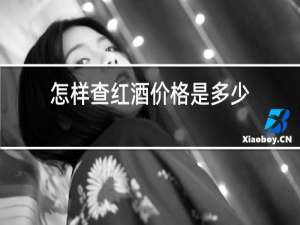 怎样查红酒价格是多少