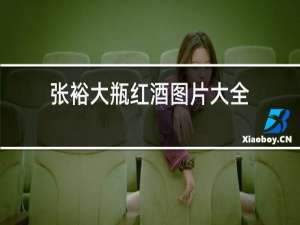 张裕大瓶红酒图片大全