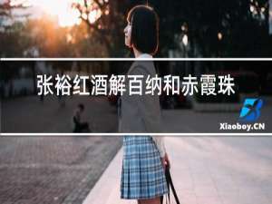 张裕红酒解百纳和赤霞珠哪个好
