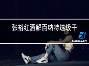 张裕红酒解百纳特选级干红