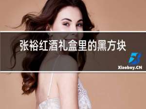 张裕红酒礼盒里的黑方块