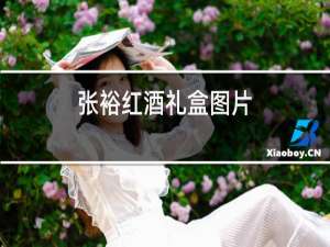 张裕红酒礼盒图片