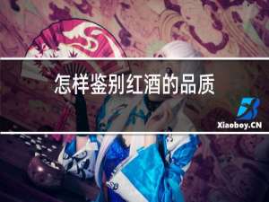 怎样鉴别红酒的品质