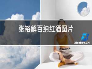 张裕解百纳红酒图片