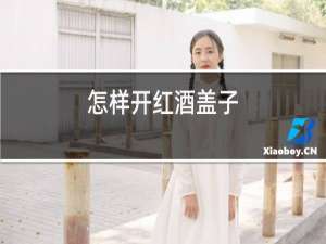 怎样开红酒盖子