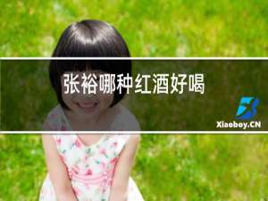 张裕哪种红酒好喝