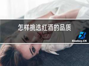 怎样挑选红酒的品质