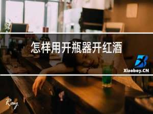 怎样用开瓶器开红酒