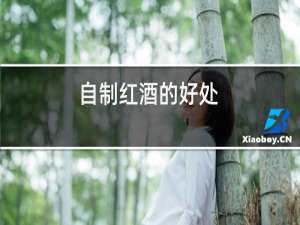 自制红酒的好处