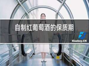 自制红葡萄酒的保质期