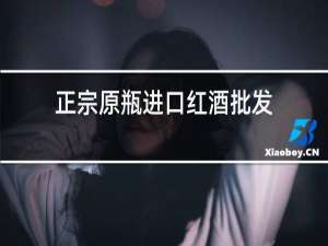正宗原瓶进口红酒批发
