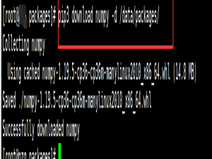 centos安装python3/pip3项目所需的第三方模块（在线安装&&离线安装）