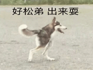 【Java Se】封装与常用关键字