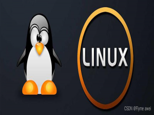 【Linux操作系统】——网络配置与SSH远程