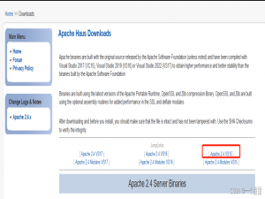 【Flask实战】Apache+WSGI在内网Windows环境下部署Flask项目（艰难爬坑总结）