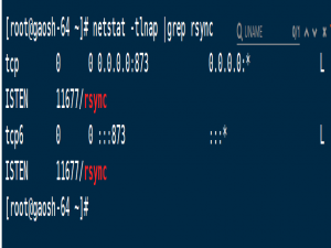 【Linux】循序渐进学运维-服务篇-rysnc安装及使用