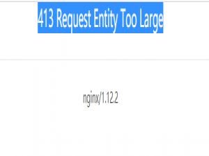 解决 Request Entity Too Large问题