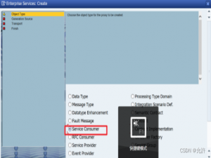 SAP WebService 使用者 创建