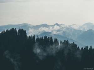 【C++登山之路之语法高山 1】—— 命名空间+缺省参数+函数重载（万字详解，图片演示，结构原理）