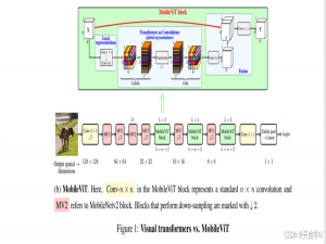 MobileVit代码解析