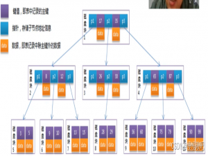项目规约之数据库设计规约