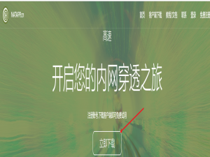 本地服务器内网穿透实现（NATAPP）