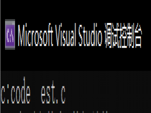 初识C语言-常量，字符串，转义字符，注释