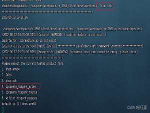 [HUKS]DtFuzz用例编写测试流程