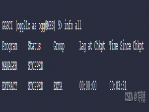 基于OGG实现Oracle 11G双主同步