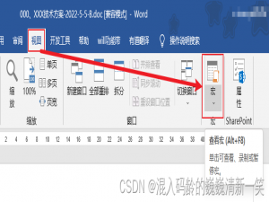 [Office VBA 宏]我好不容易编写的VBA代码如何加密保护？（Word版）
