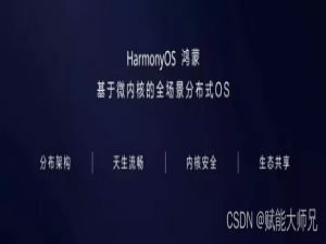 聊聊Harmony OS