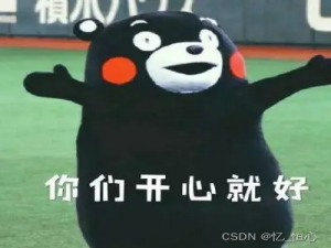 LeetCode动态规划基础题-子字符串问题(13题)