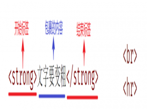 Web标准的构成、网页的组成、五大浏览器，可以使用HTML搭建出一个基础的网页