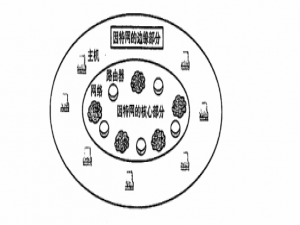 什么是计算机网络？