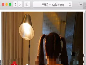 想看Vue文档，cn放错位置，误入xx网站...