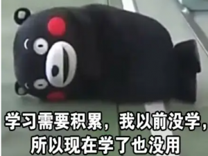 程序员校招社招到底该面不面算法题？该如何准备？
