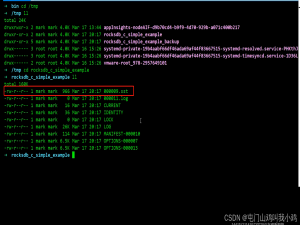 2022年5月7日记:Linux服务器开发,Mark老师,Redis相关命令详解及其原理