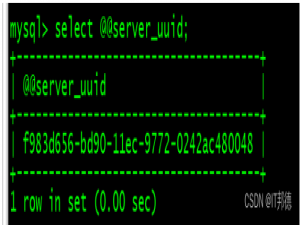 MySQL8从零开始搭建1主2从GTID复制，针不戳