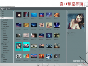 【001】基于JavaFX实现的电子图片管理系统
