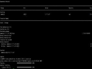 Linux搭建Jenkins并且部署（SpringBoot、Jar）服务